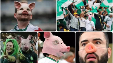 الأهلي والخنازير: كيف حول جمهور بالميراس 'الإهانة اللبنانية' إلى لقب فخري