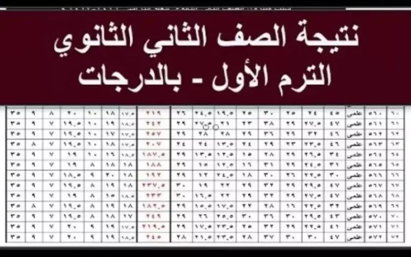 رابط الاستعلام نتيجة الصف الأول الثانوي 2025 برقم الجلوس والاسم لجميع المحافظات عبر moe.gov.eg
